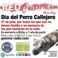 RED ANIMAL CON OLIVIA FREY/DÌA DEL PERRO CALLEJERO/ EN MEMORIA A RISHA FREY