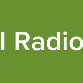 WFI Radionet