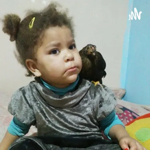 Rede jesus é o sinal