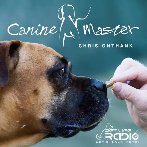 Canine Master - Episode 23 Mastering The Dog Urine Marking Behavior