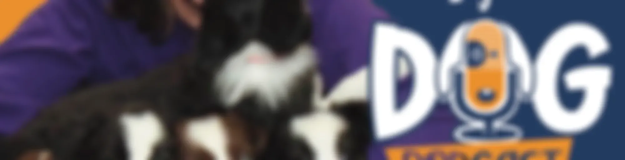 Shaped by Dog with Susan Garrett