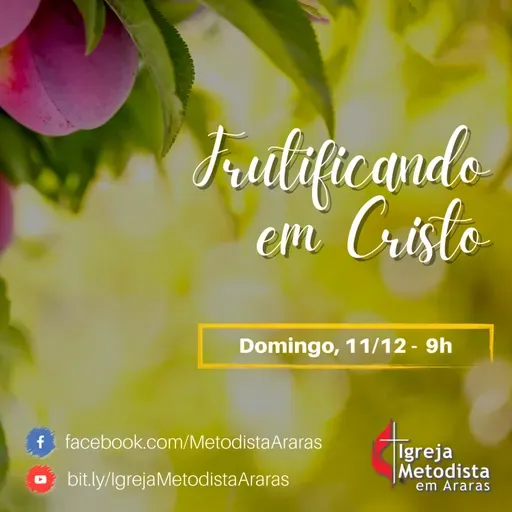 Mensagens de Vida - Episódio 73 - Frutificando em Cristo