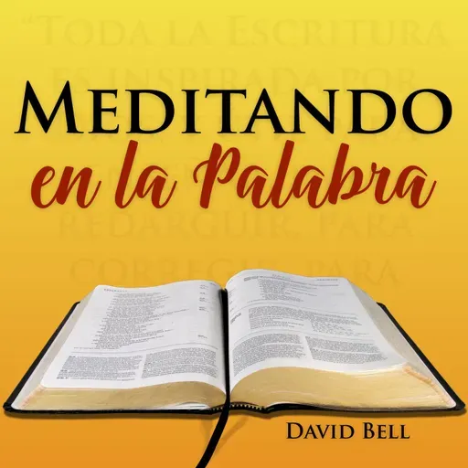 MelP_330-Numeros_5_6-7