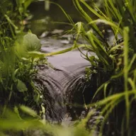 No.201 - Música de Arrollo + piano ⛲ 
