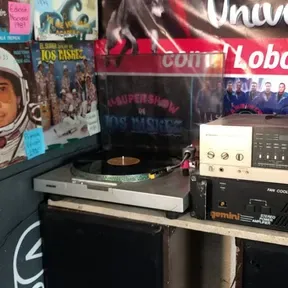 Retro Radio Universal Estereo