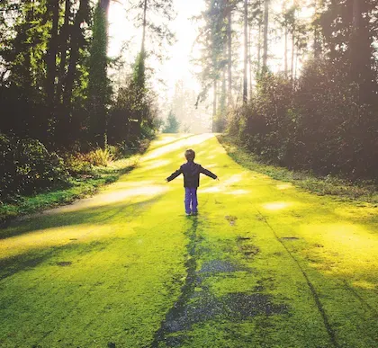 Doğayla İlgili Sözcüklerin Kullanımı Azalıyor