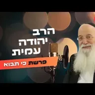 הרב יהודה עמית • פרשת כי תבוא תשפ''ה | עלונימייל