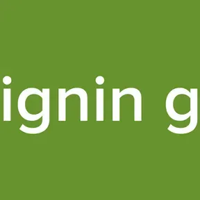 Signin gh