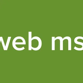 radio web msconfig