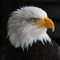 A AUTODETERMINAÇÃO DO ESPÍRITO