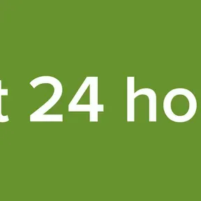 bot 24 horas