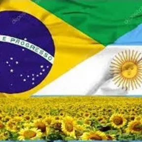 O PATRIOTA