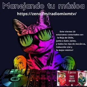 MANEJANDO TU MUSICA