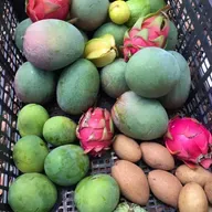 Growing simple, useful plants with Bobby Gopaul & Raleigh Barnes