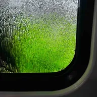 The Green Routine Vol