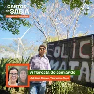 A floresta do semiárido - Cantos do Sabiá