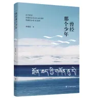 《曾经那个少年》