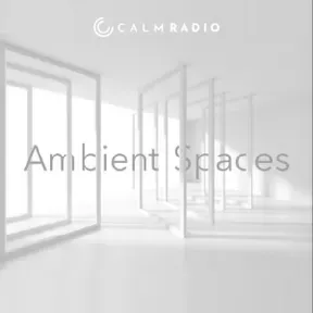 AMBIENT SPACES