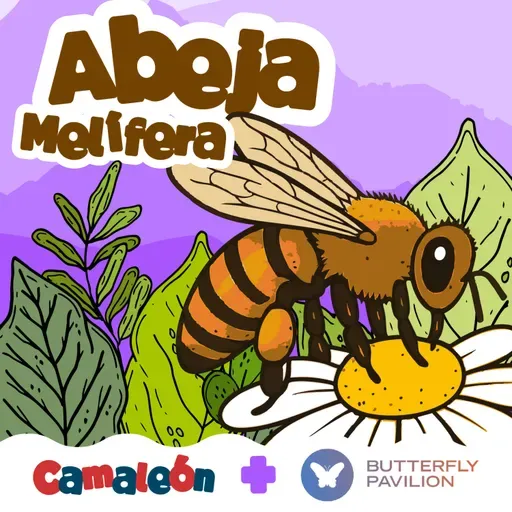 Abejas melíferas: Las que bailan para hablar