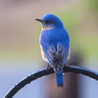 As Profundezas do Amor de Deus