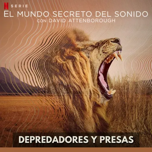 El Mundo Secreto del Sonido - Depredadores y Presas