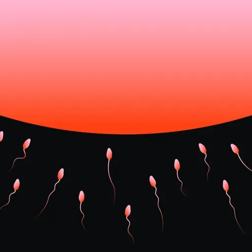 Birthstory