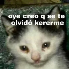 Sad papu