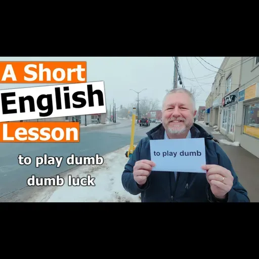 Learn the English Phrases "to play dumb" and "dumb luck"
