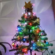 A cruz e a manjedoura - Monólogo de natal 2024