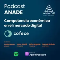 Competencia económica en el mercado digital