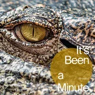 The lessons I learned from 'Alligator Alcatraz'