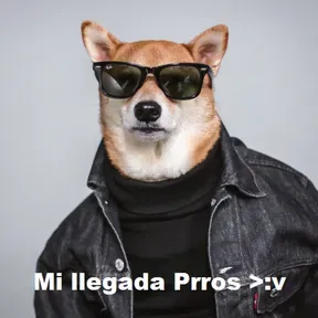 CACHORRO RADIO