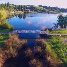 Variaciones De Mesa
