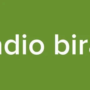 Radio birat