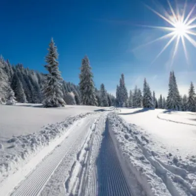 Montaña en alerta: nieve y riesgo en el Pirineo
