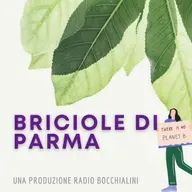 Briciole di Parma - I maghi