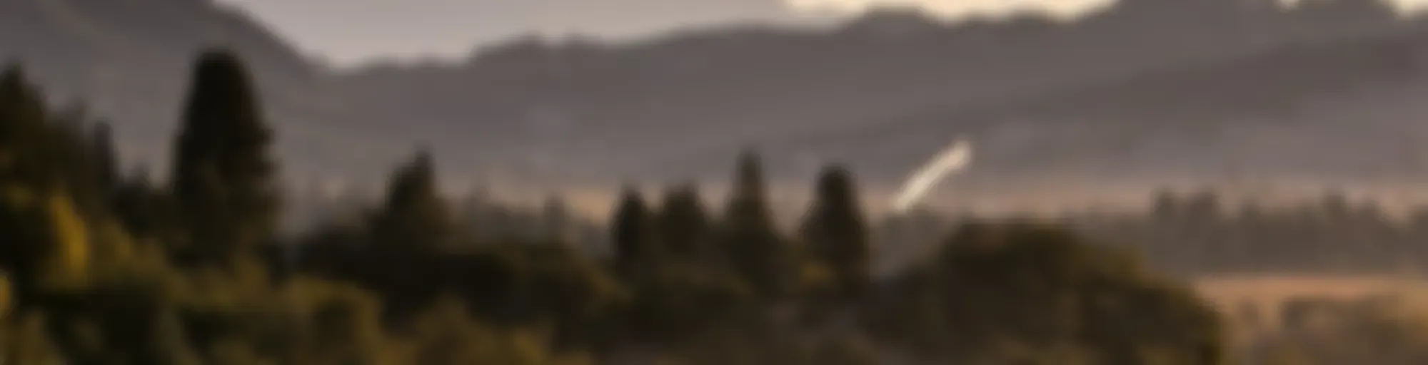 Vine, Wine &amp; Dine