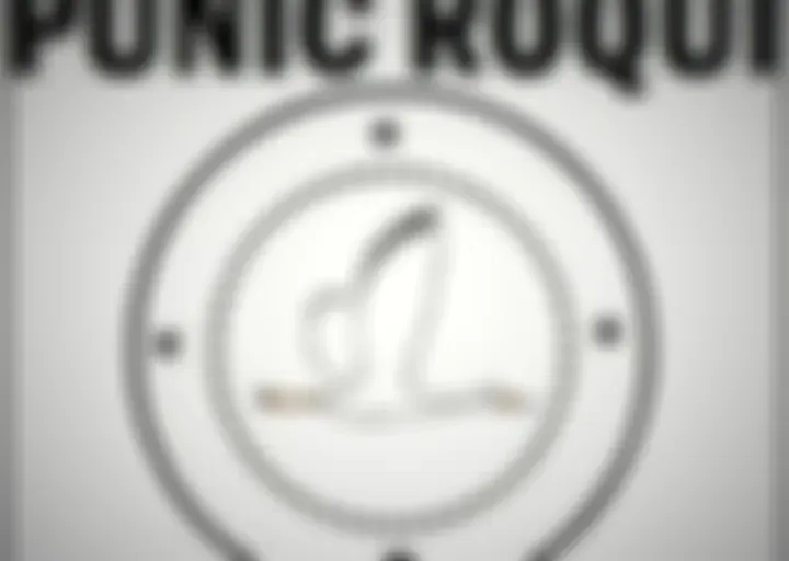 Punic Róqui