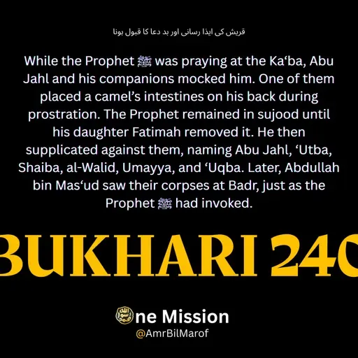 قریش کی ایذا رسانی اور بد دعا کا قبول ہونا