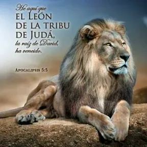 Predicas