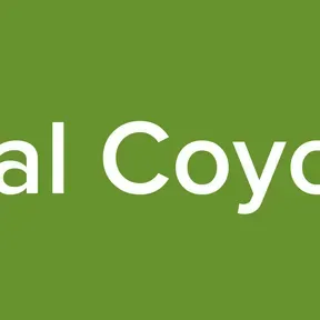 Terminal 4 (Urbano Emergente)