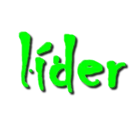 Estação Lider