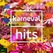 Antenne NRW - Karneval