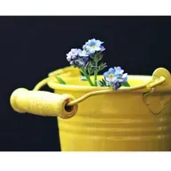 El olvido - Silvia Holgado Tello