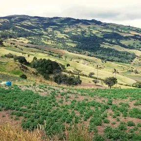 valle estereo tulua
