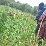 የማክሰኞ ነሐሴ 27 ቀን፣ 2017 ዓ.ም ዜና-መጽሔት