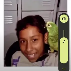 GTA MALO