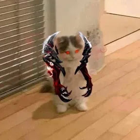 pugnammD