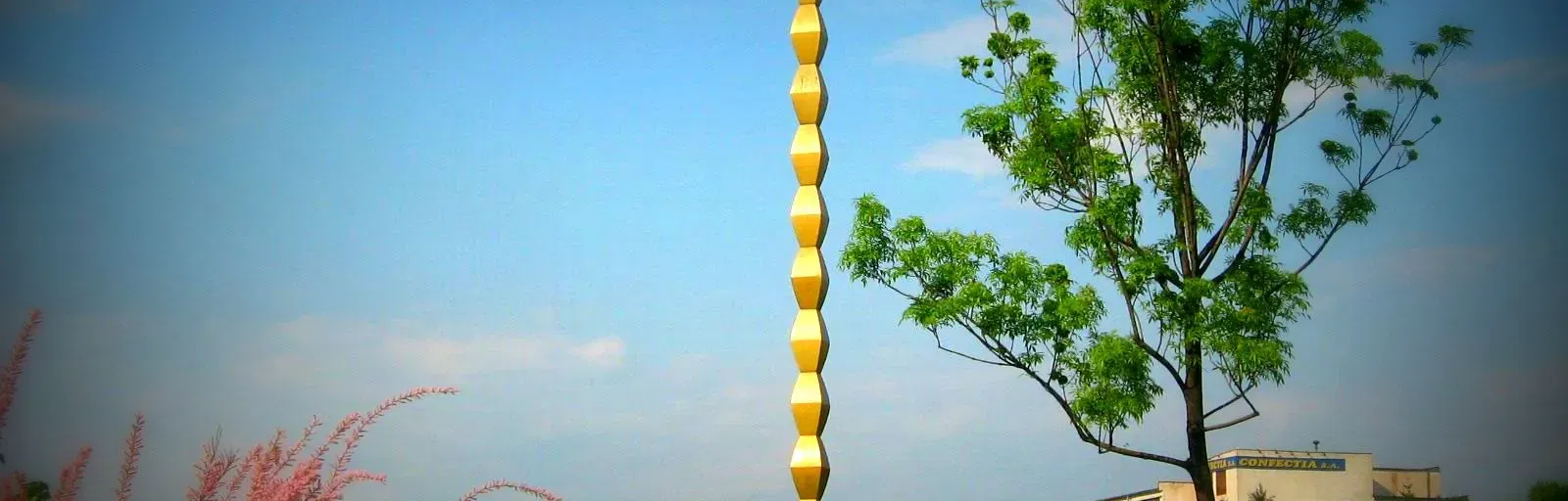 Boom FM_Feel the Movement