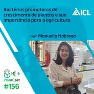 Plantcast #156 Bactérias promotoras de crescimento de plantas e sua importância para a agricultura